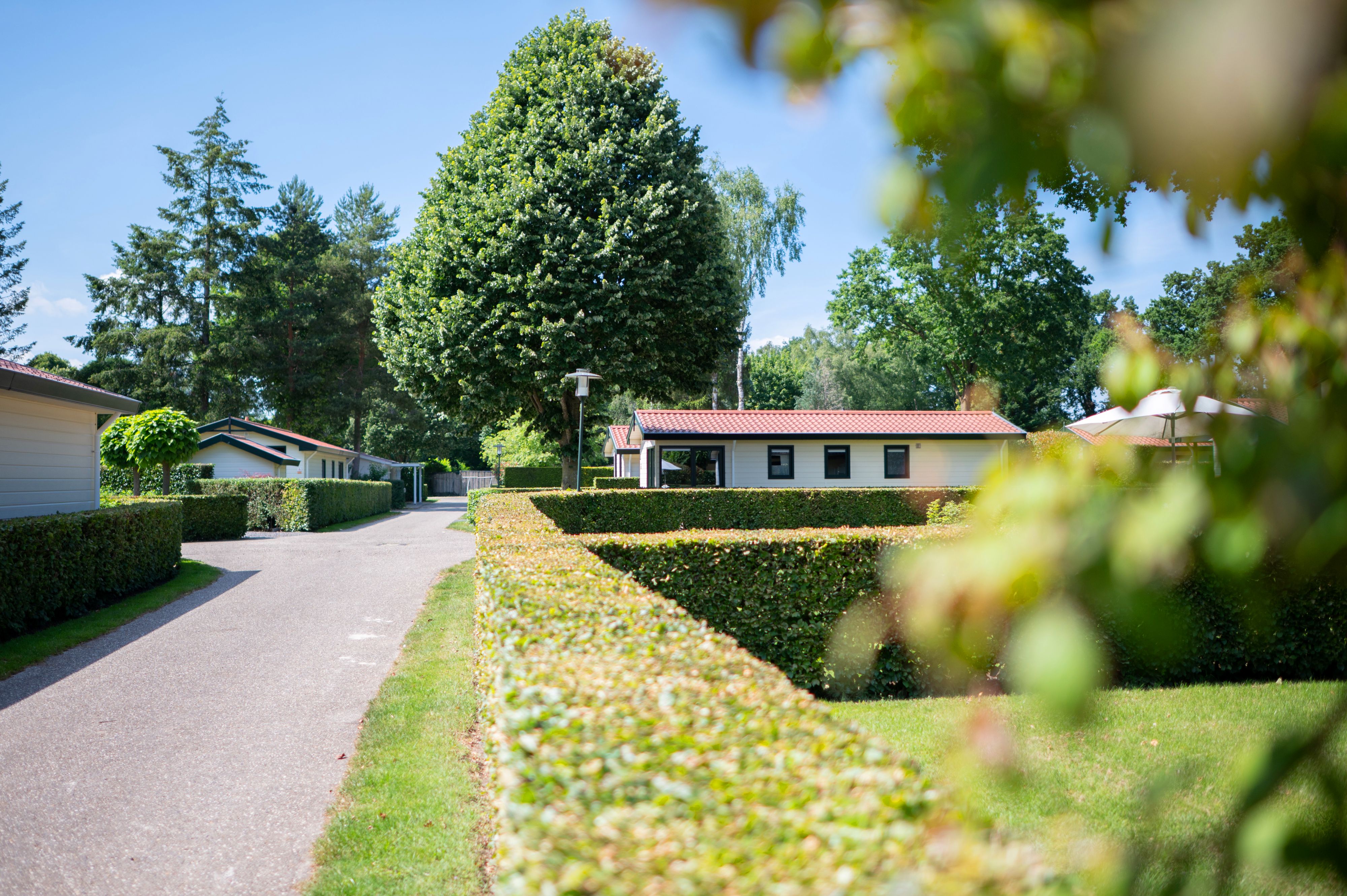 house_image