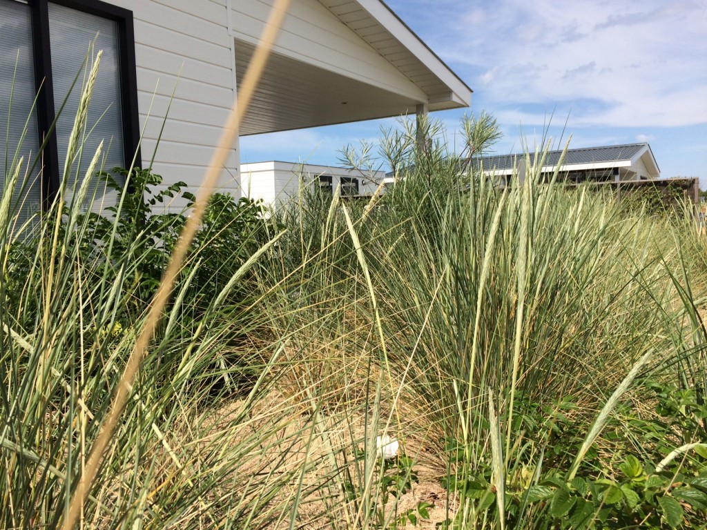 Chalet Schoolzicht reformatorisch vakantiepark/ camping