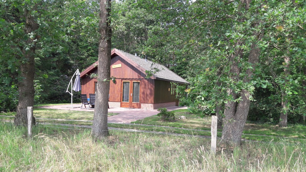 Rust, ruimte en natuur in Wierden (Twente)
