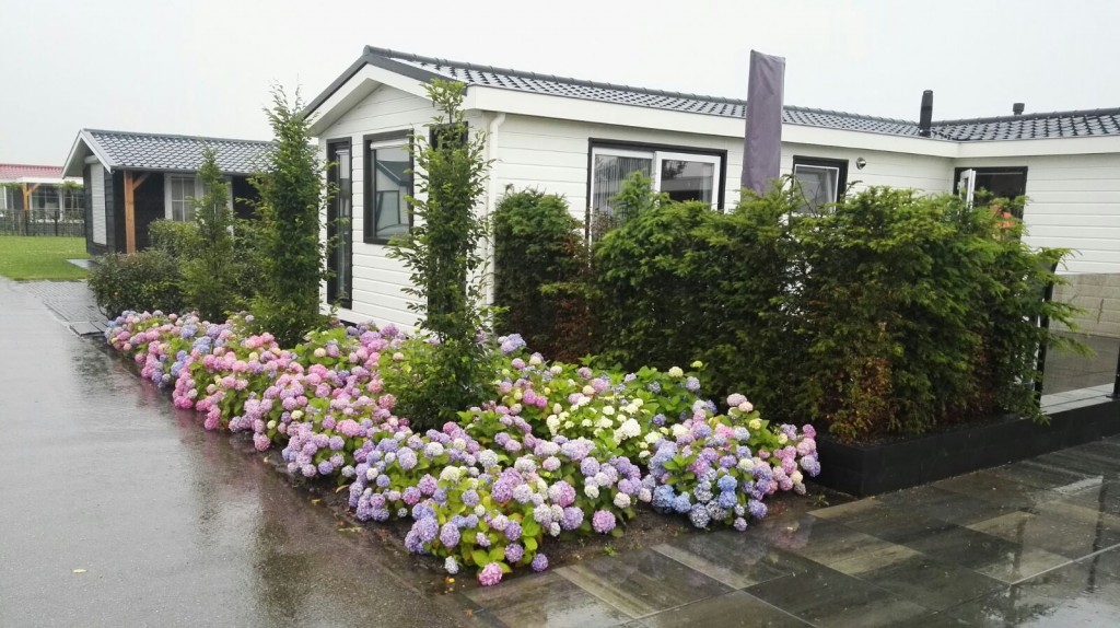 Chalet op camping schoolzicht Aagtekerke