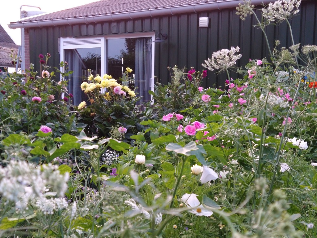 Vakantiewoning op het erf van een boerderij