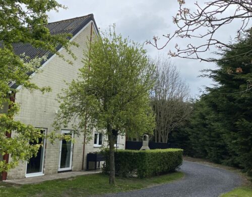 house_image3
