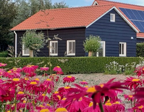 house_image3