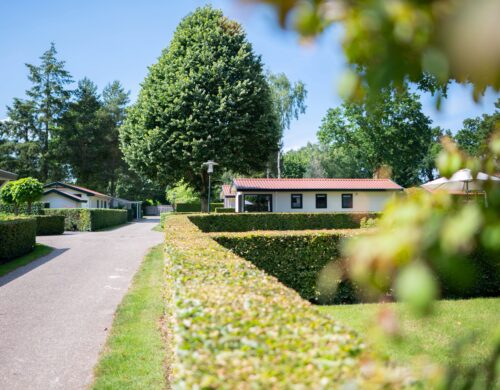 house_image3
