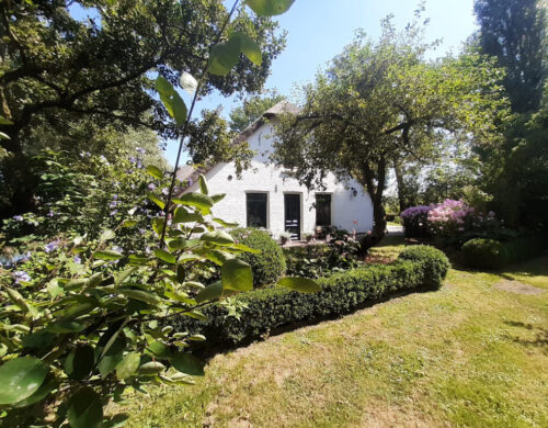 house_image3