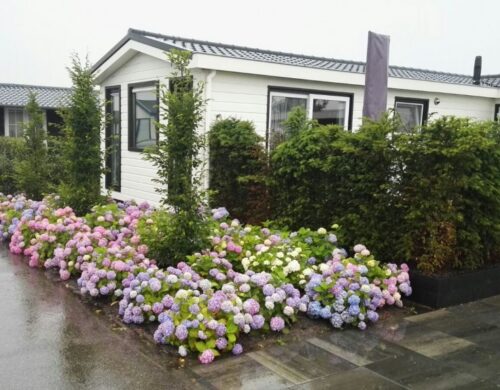 house_image3