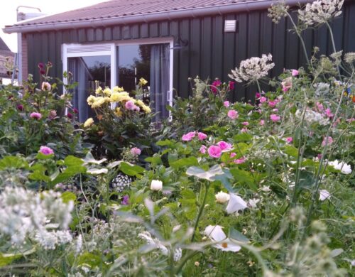 house_image3